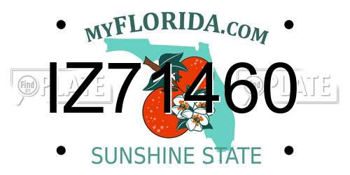 IZ71460 Florida License Plate