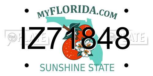 IZ71848 Florida License Plate