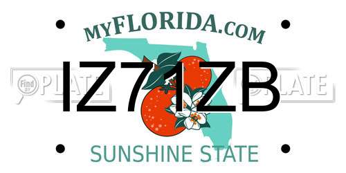 IZ71ZB Florida License Plate