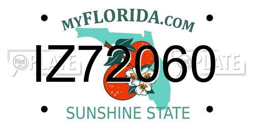 IZ72060 Florida License Plate