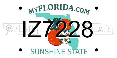 IZ7228 Florida License Plate