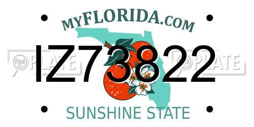 IZ73822 Florida License Plate