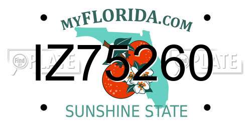 IZ75260 Florida License Plate