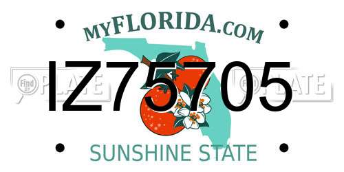 IZ75705 Florida License Plate