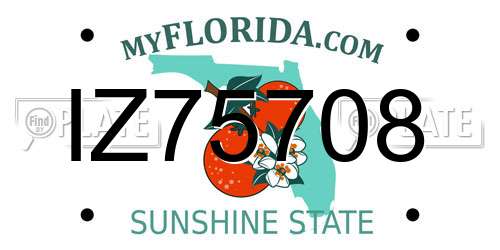 IZ75708 Florida License Plate