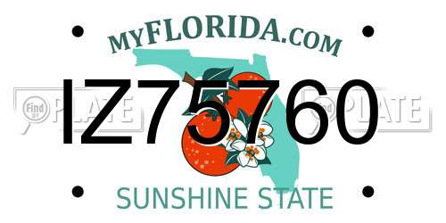 IZ75760 Florida License Plate