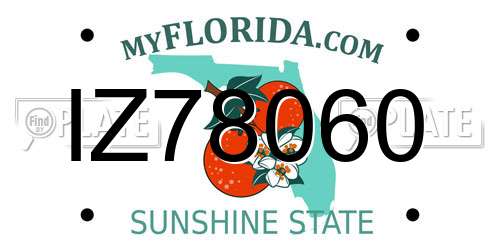 IZ78060 Florida License Plate