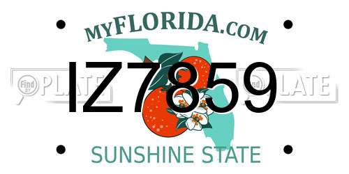 IZ7859 Florida License Plate
