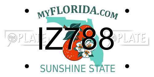 IZ788 Florida License Plate