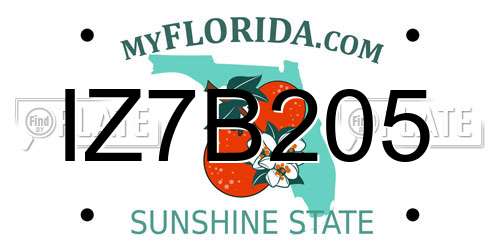 IZ7B205 Florida License Plate