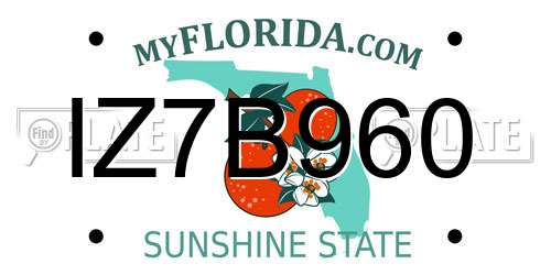 IZ7B960 Florida License Plate