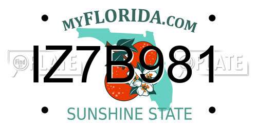 IZ7B981 Florida License Plate