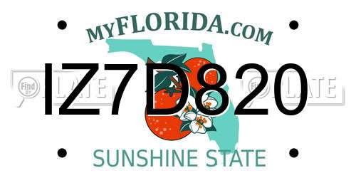 IZ7D820 Florida License Plate