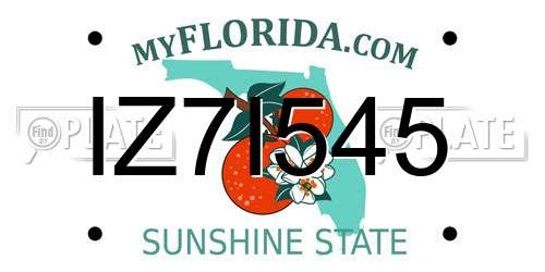 IZ7I545 Florida License Plate
