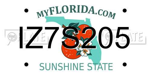 IZ7S205 Florida License Plate