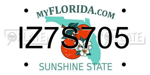 IZ7S705 Florida License Plate