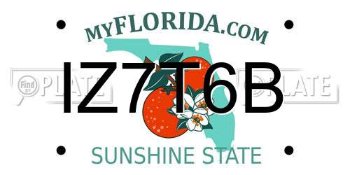 IZ7T6B Florida License Plate