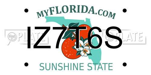 IZ7T6S Florida License Plate
