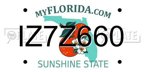 IZ7Z660 Florida License Plate