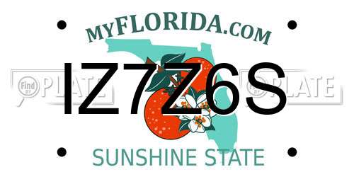 IZ7Z6S Florida License Plate