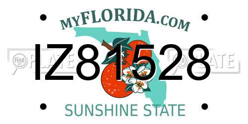 IZ81528 Florida License Plate