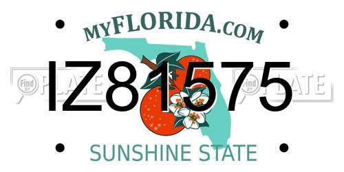 IZ81575 Florida License Plate