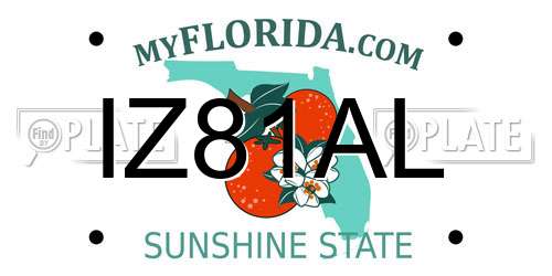 IZ81AL Florida License Plate