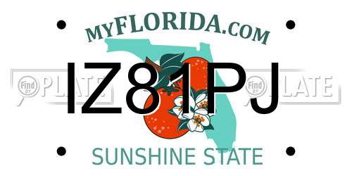 IZ81PJ Florida License Plate