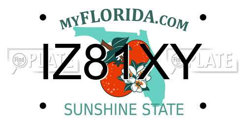 IZ81XY Florida License Plate