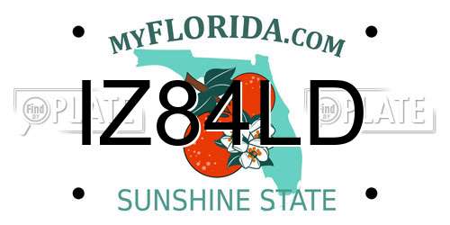 IZ84LD Florida License Plate