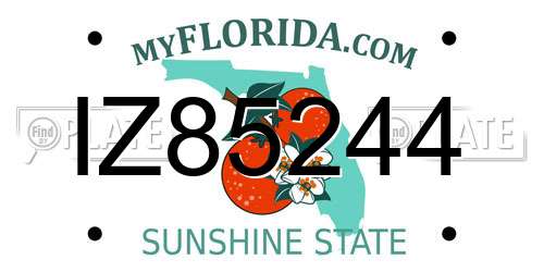 IZ85244 Florida License Plate