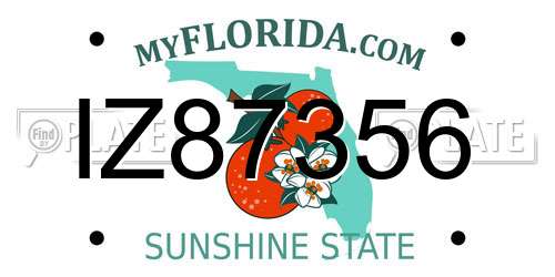 IZ87356 Florida License Plate