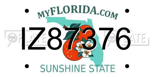 IZ87376 Florida License Plate