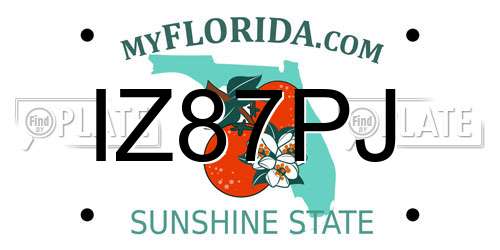 IZ87PJ Florida License Plate