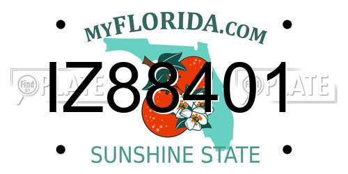 IZ88401 Florida License Plate