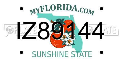 IZ89144 Florida License Plate