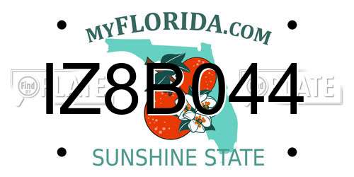 IZ8B044 Florida License Plate