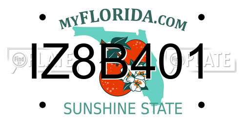 IZ8B401 Florida License Plate