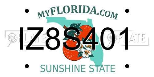 IZ8S401 Florida License Plate