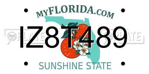 IZ8T489 Florida License Plate