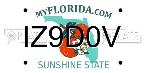 IZ9D0V Florida License Plate