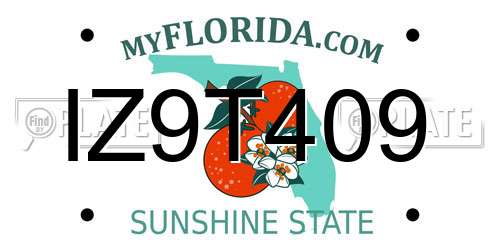 IZ9T409 Florida License Plate
