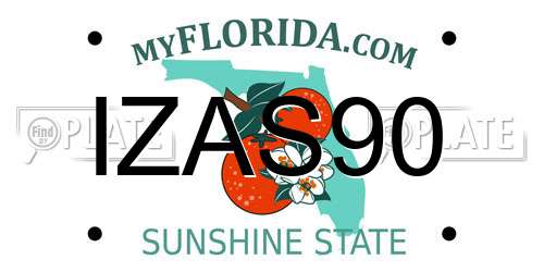 IZAS90 Florida License Plate