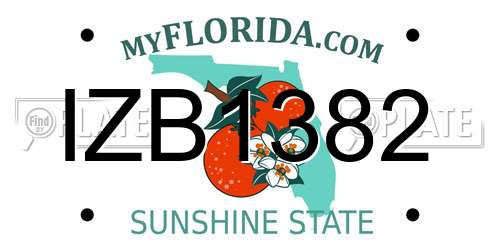 IZB1382 Florida License Plate