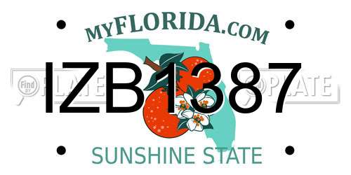 IZB1387 Florida License Plate