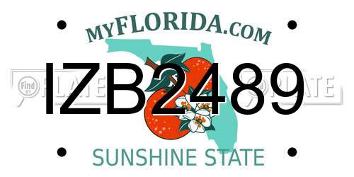 IZB2489 Florida License Plate