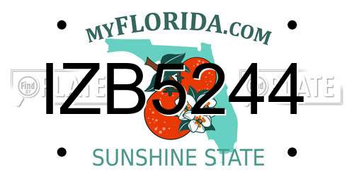 IZB5244 Florida License Plate