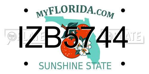 IZB5744 Florida License Plate