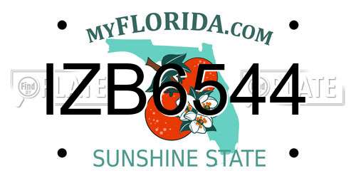 IZB6544 Florida License Plate