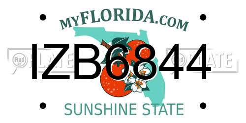 IZB6844 Florida License Plate
